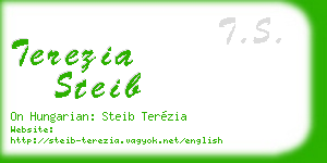 terezia steib business card